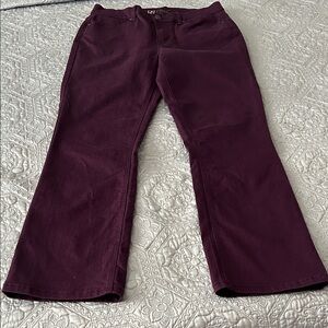 DG2 by Diane Gilman Women's Flare Jeans in Deep Purple